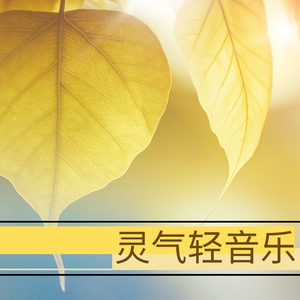 免费在线观看AV网站
